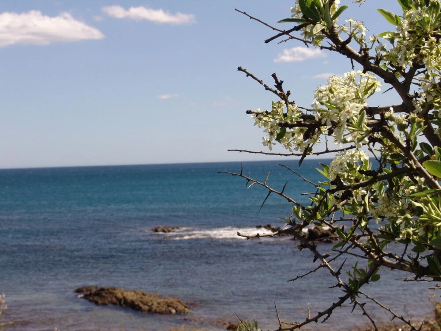 Le Residenze di Porto Corallo
