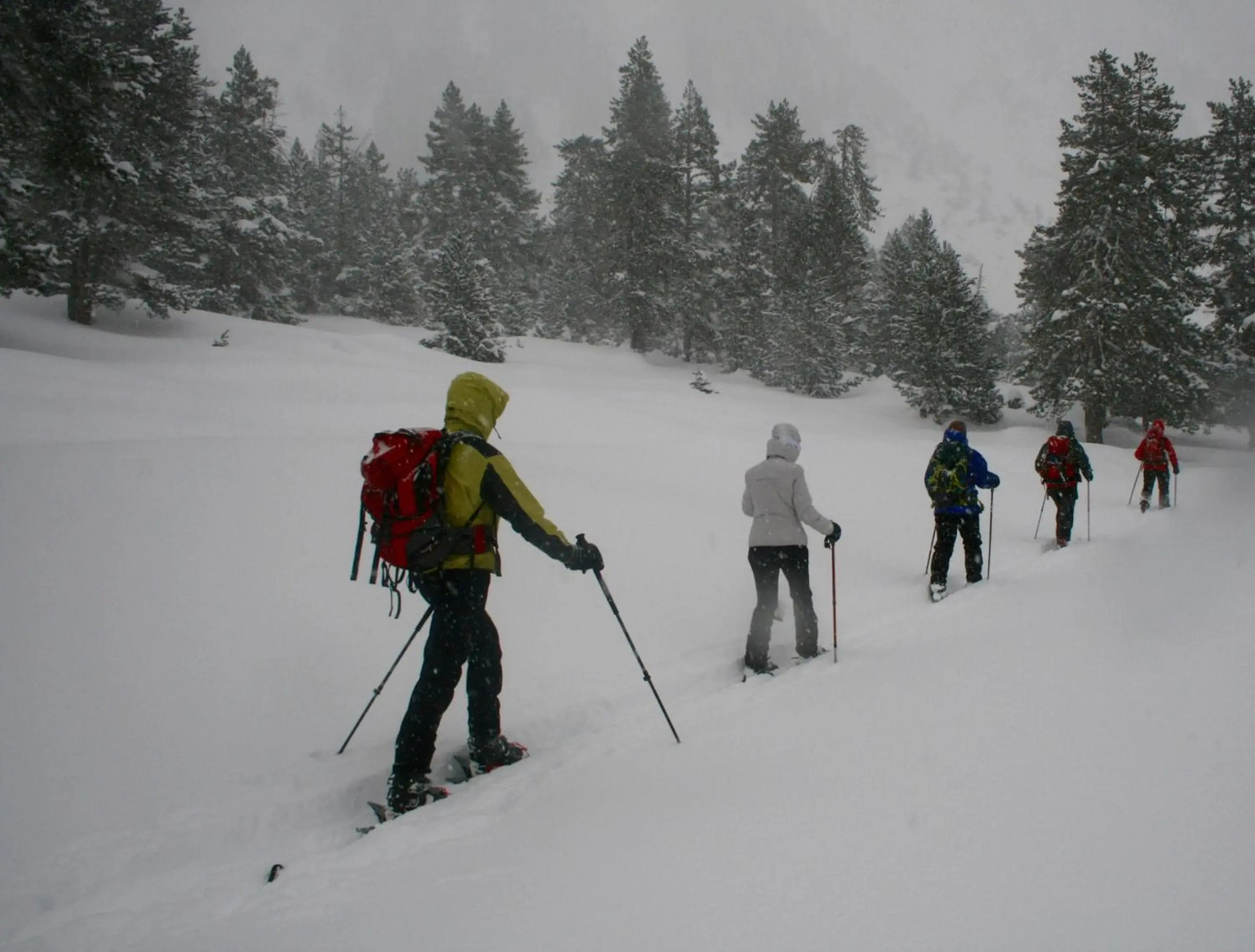 Amaroq Explorers BaseCamp