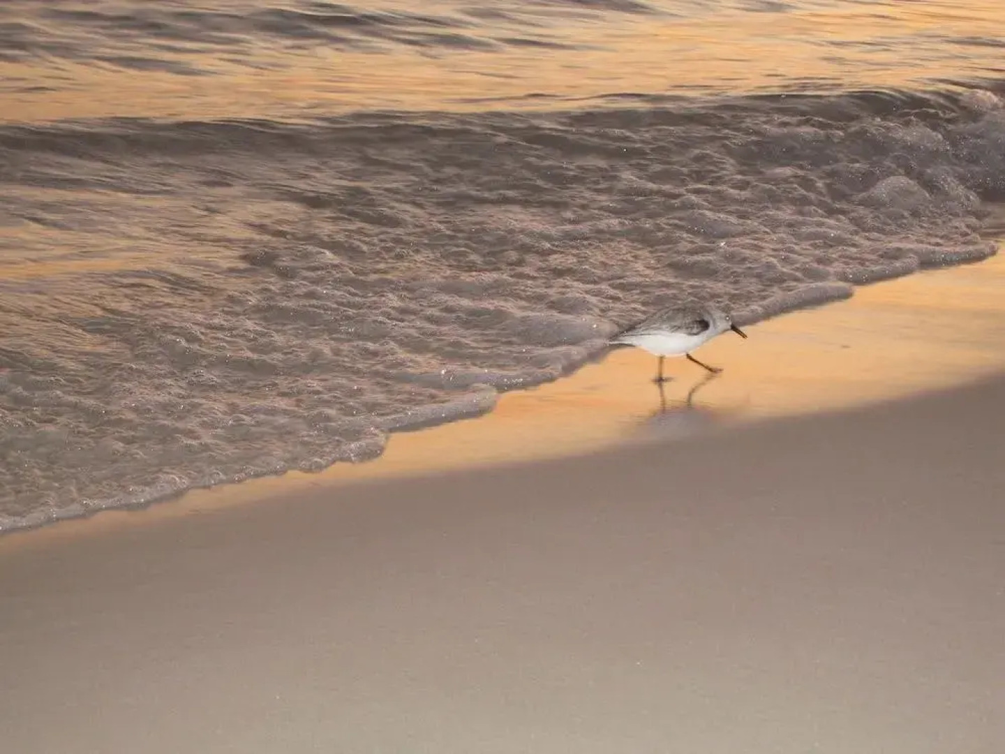 Chateau La Mer 10A Destin