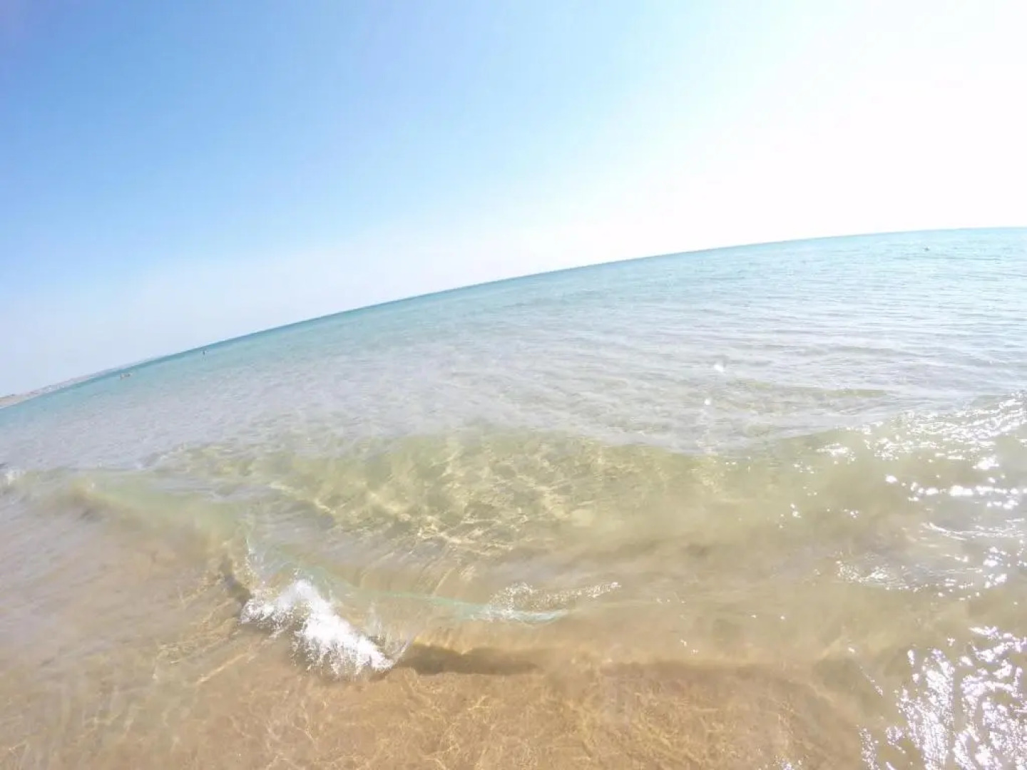 Apartment La Conchiglia