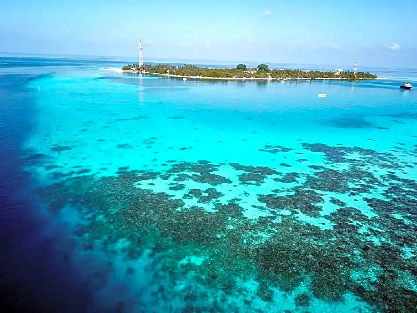 Daisy Cottage Dhangethi