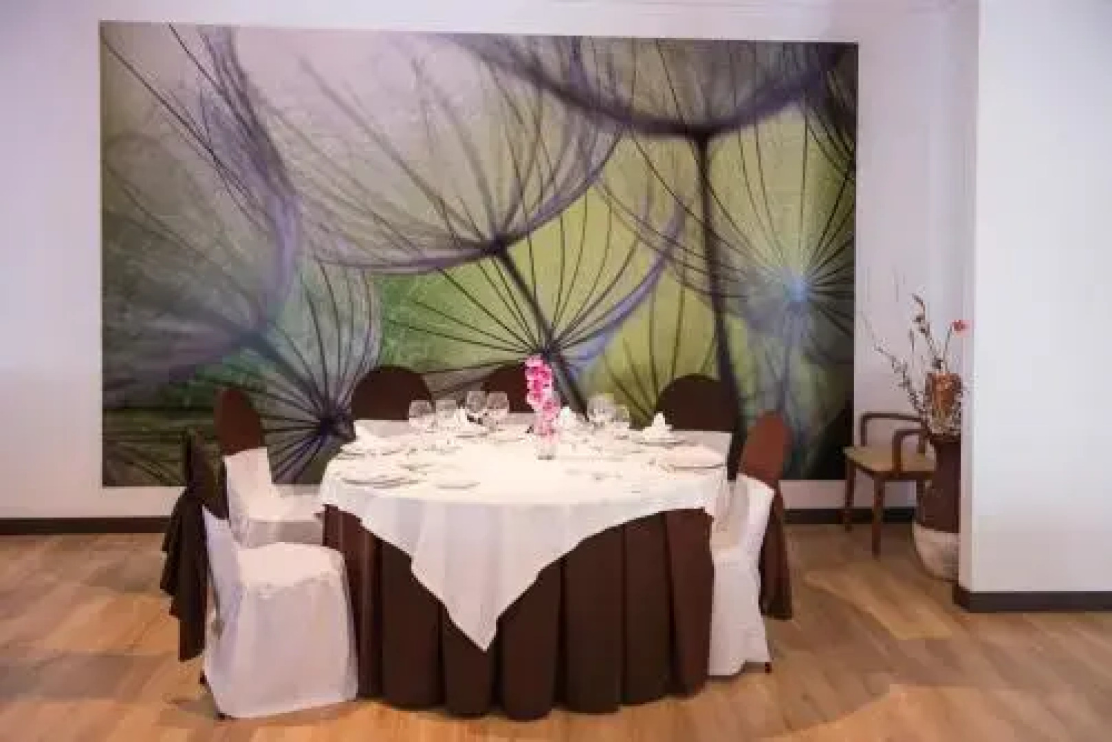 Hotel Las Terrazas & Suite