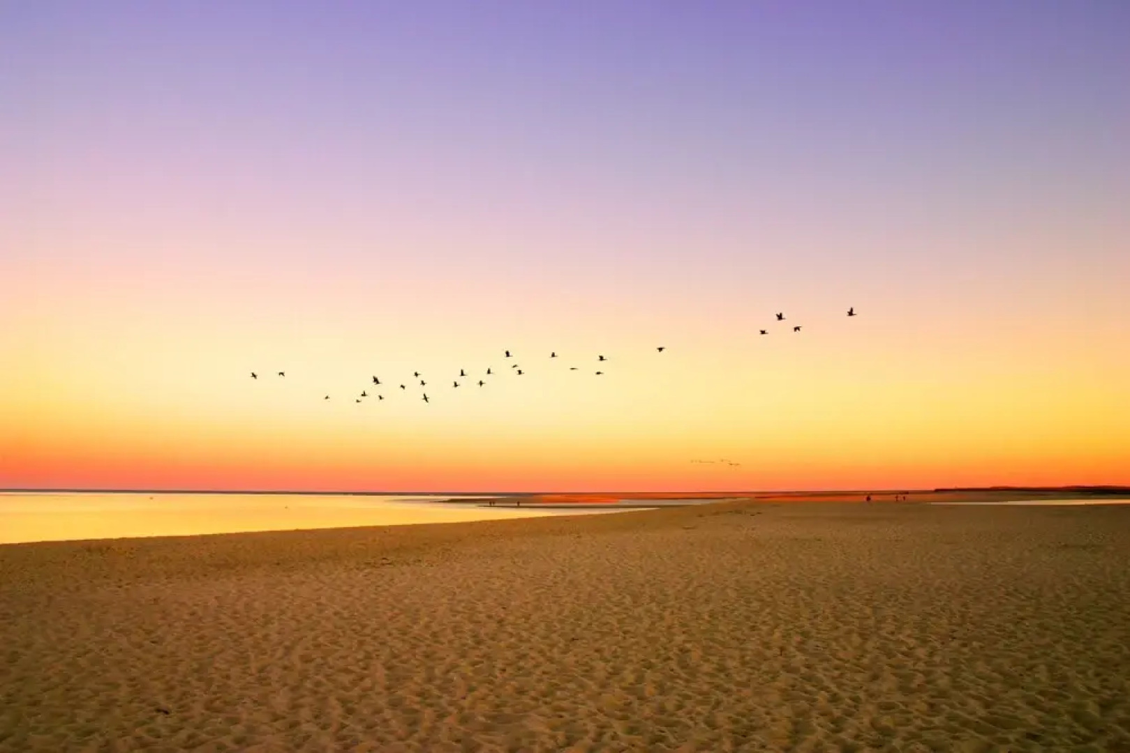 Spacious Wooded W/ Deck & Alfresco Dining 3 Bedroom Home