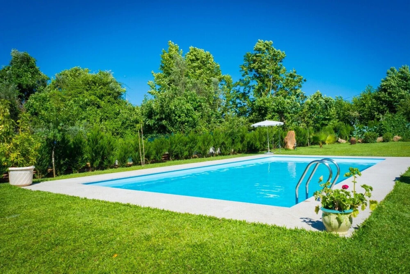 Pet Friendly BBQ Mesa de Jogos Mystay