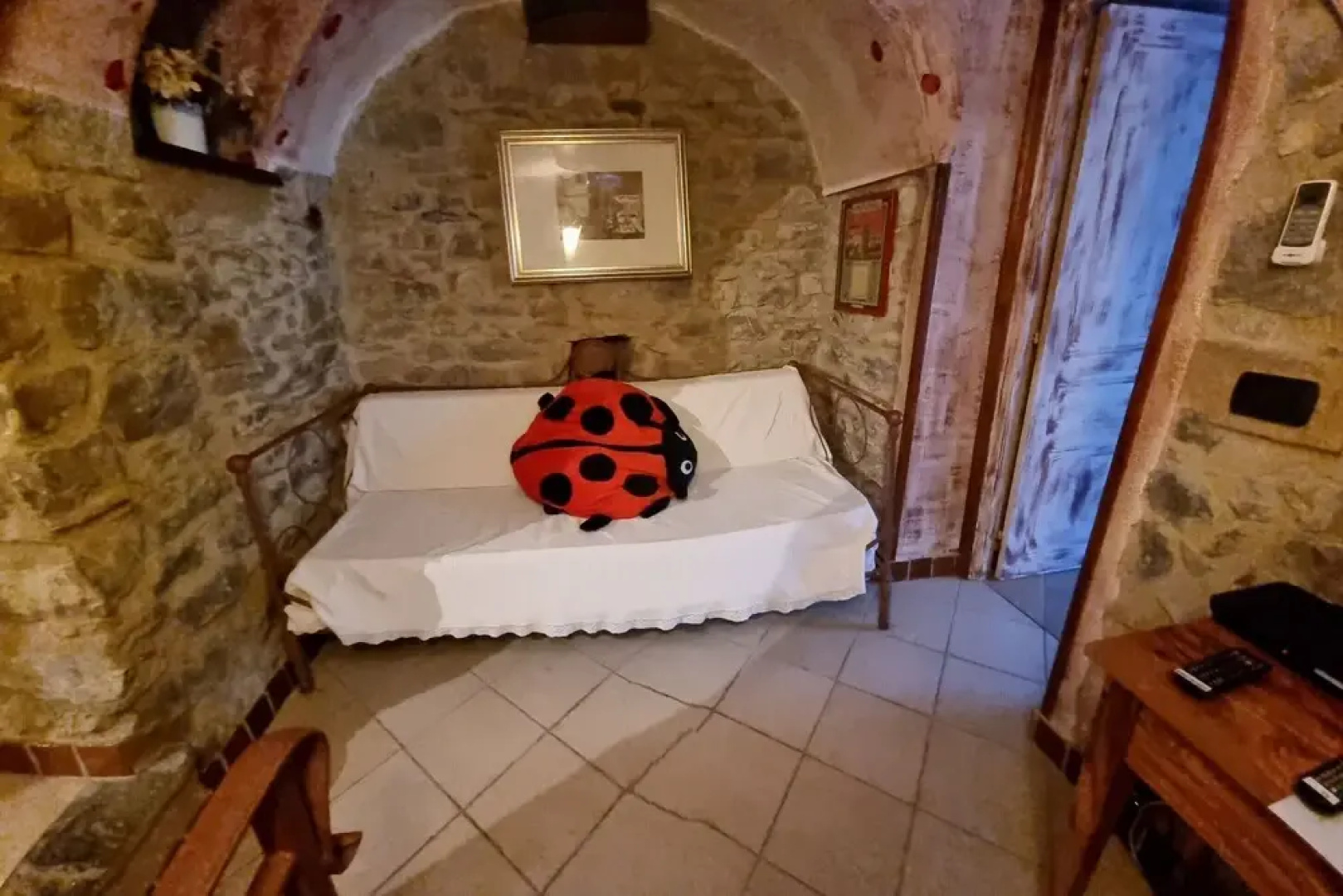 Coccinelle