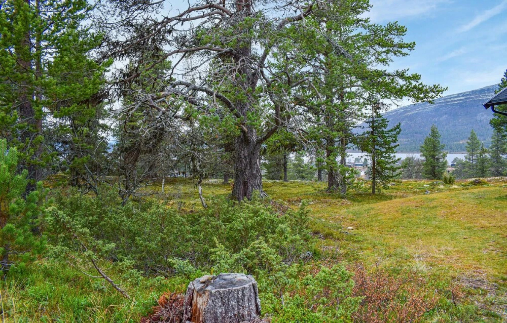 Stunning Home in Kvam With 2 Bedrooms and Wifi