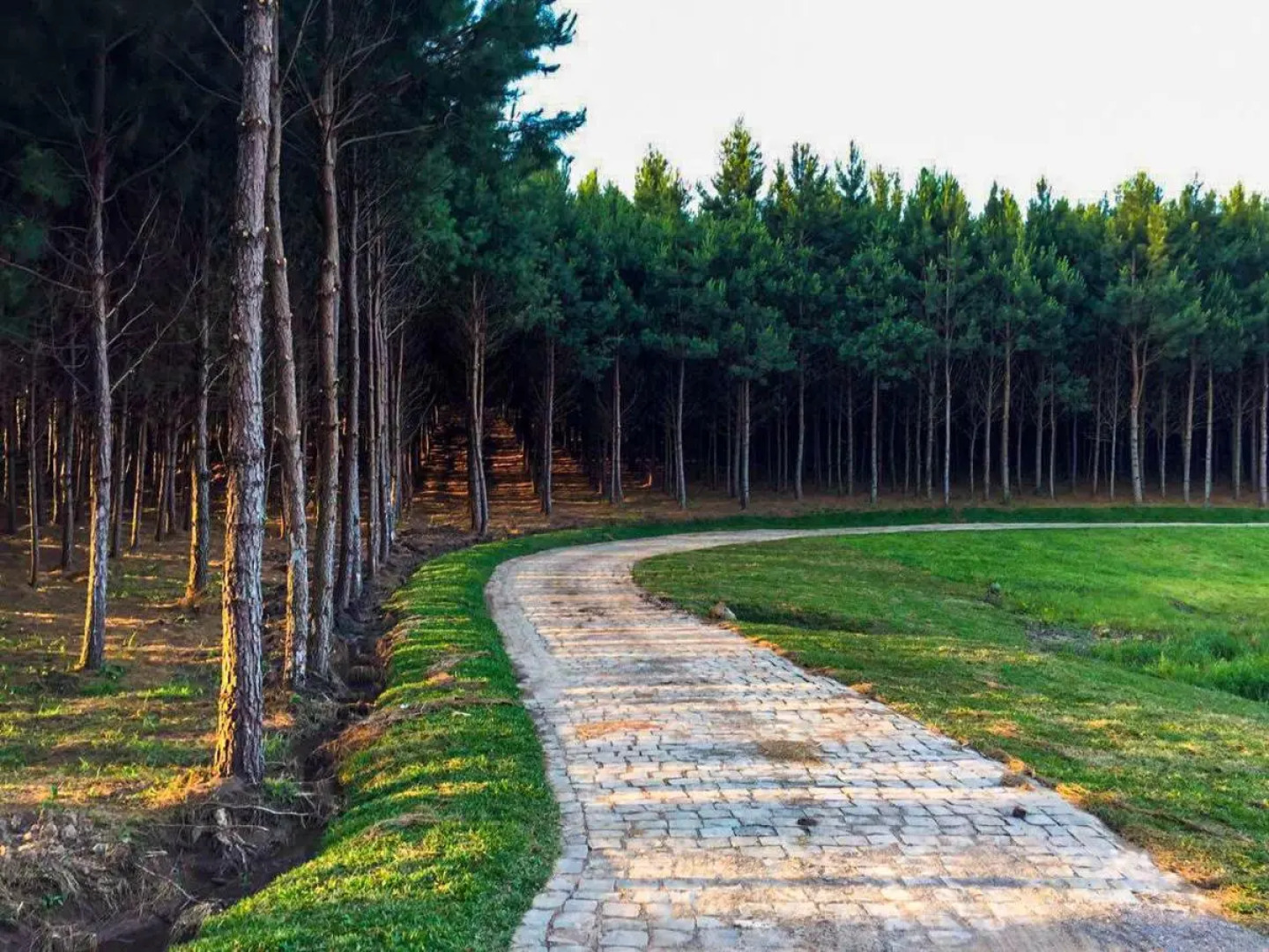 Hotel Recanto Business Center