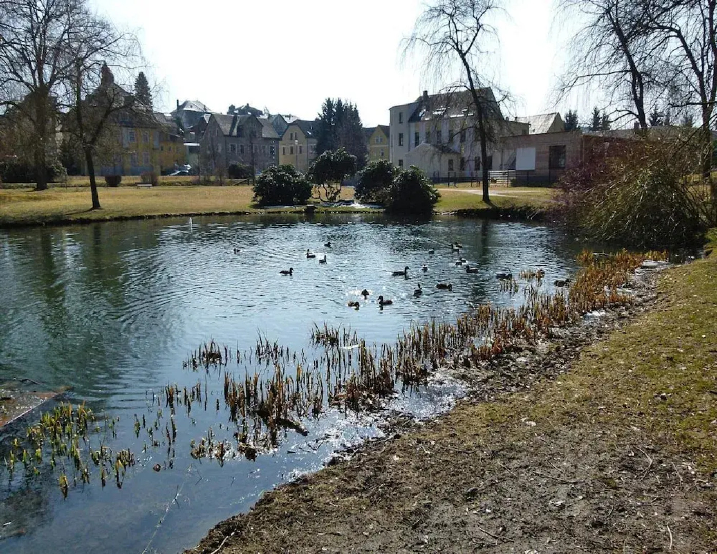 Wohnung in Ellefeld Nahe Skipisten