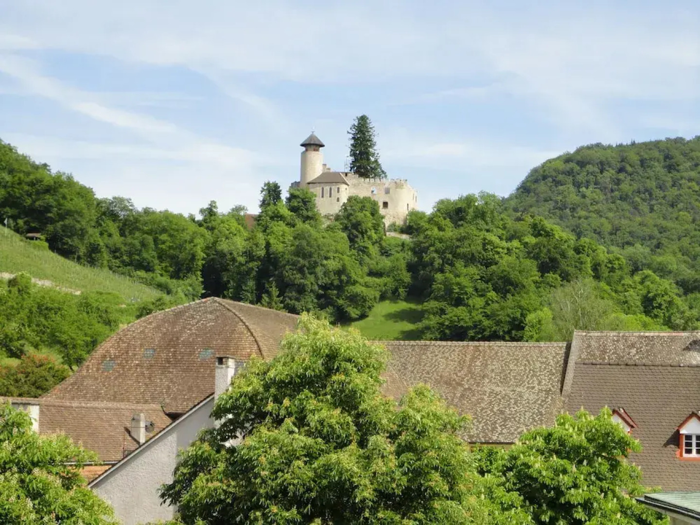 Hotel Gasthof zum Ochsen
