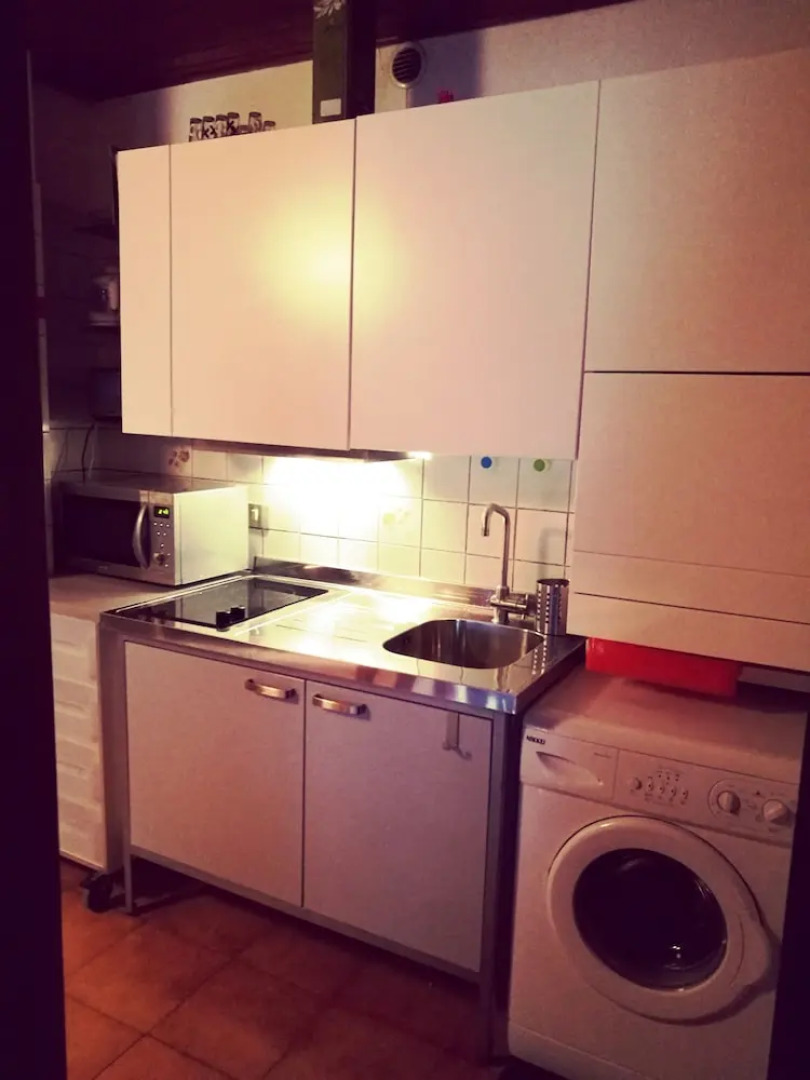 Cozy Flat in the Alps