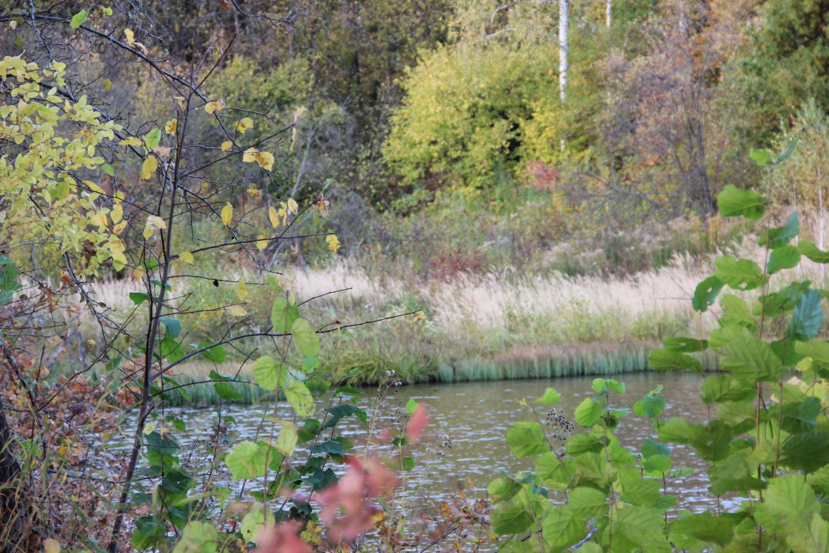 ЭКО Отель Настасьино Хуторок