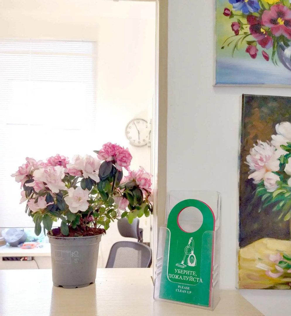 Мини-отель на Лебедева 10В 