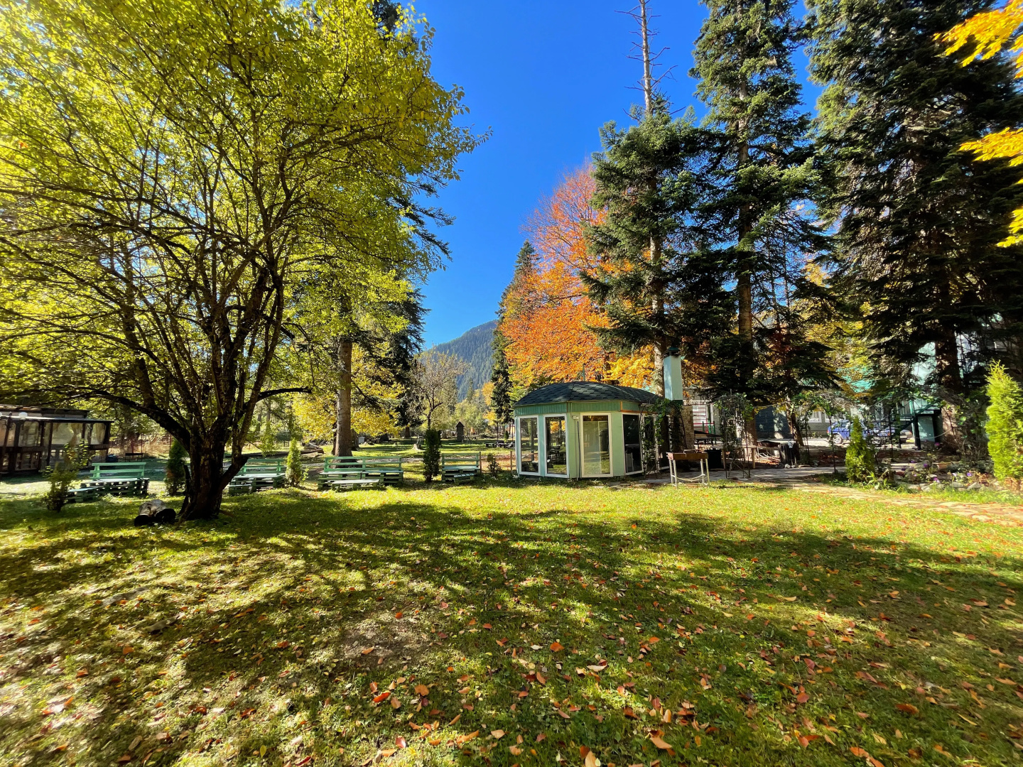 Отель Green Park Spa & Усадьба