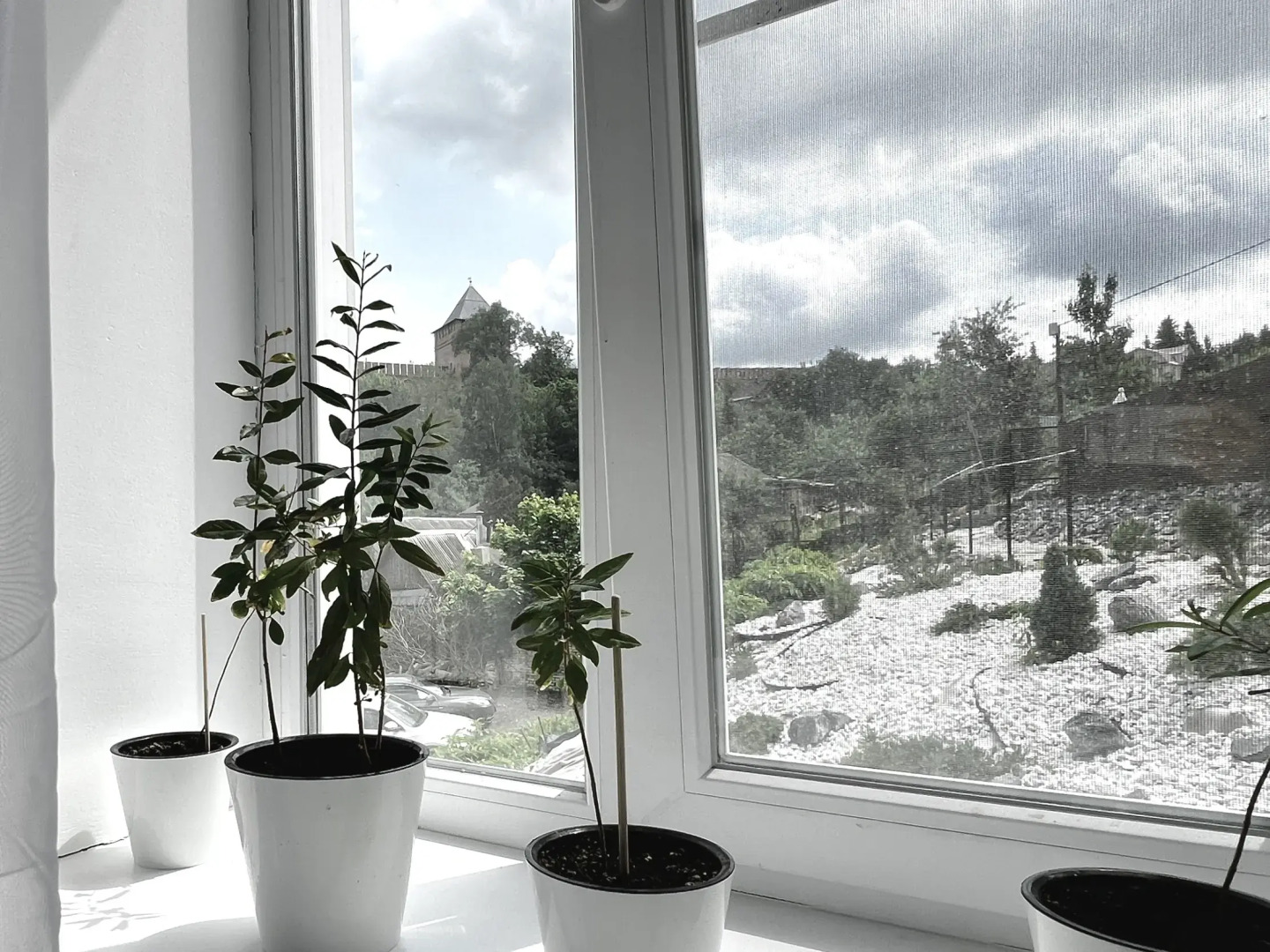 Частный дом Дом в историческом центре Смоленска с шикарным видом