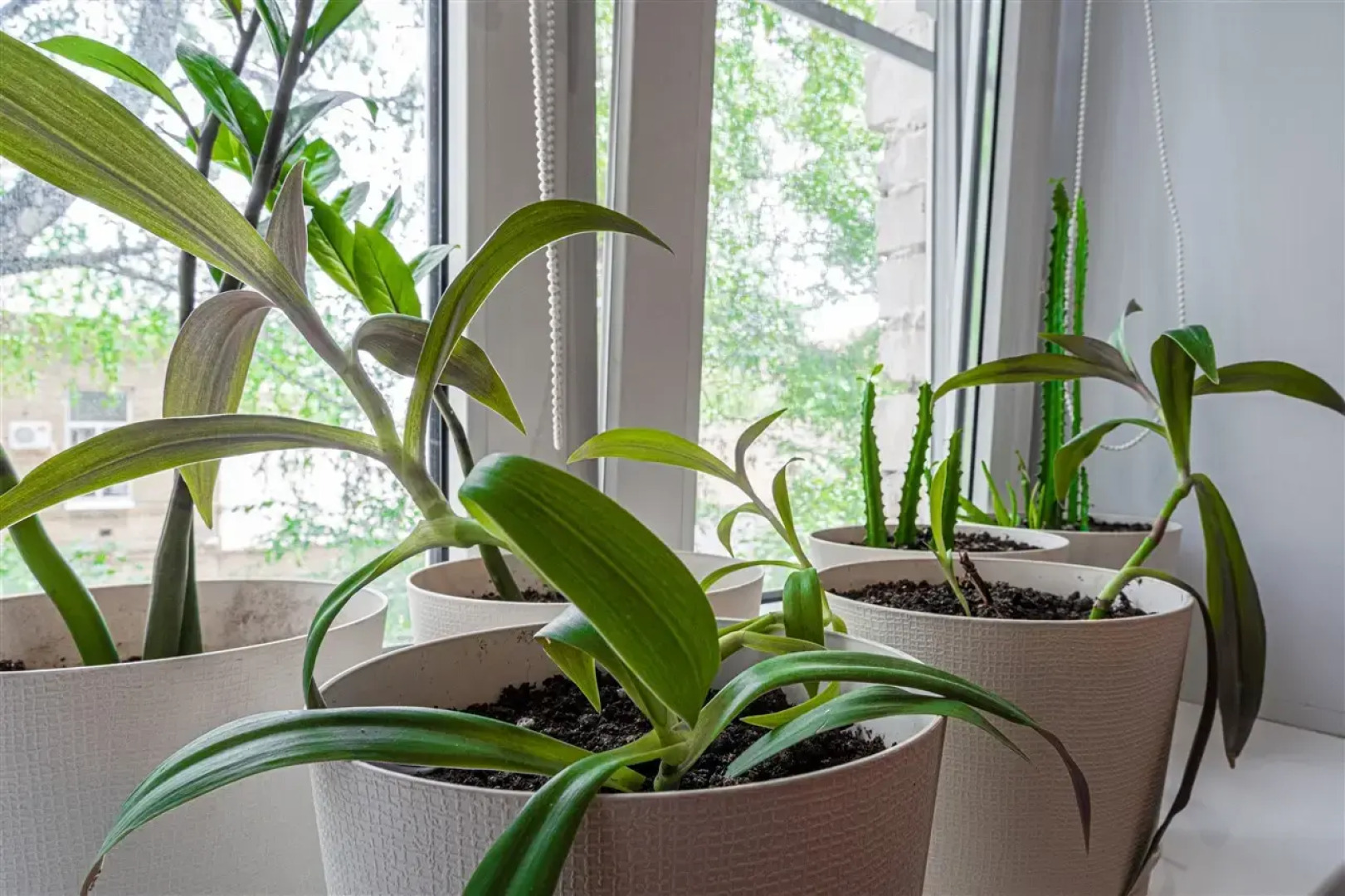 Квартира Red Bus Apartment na Mira