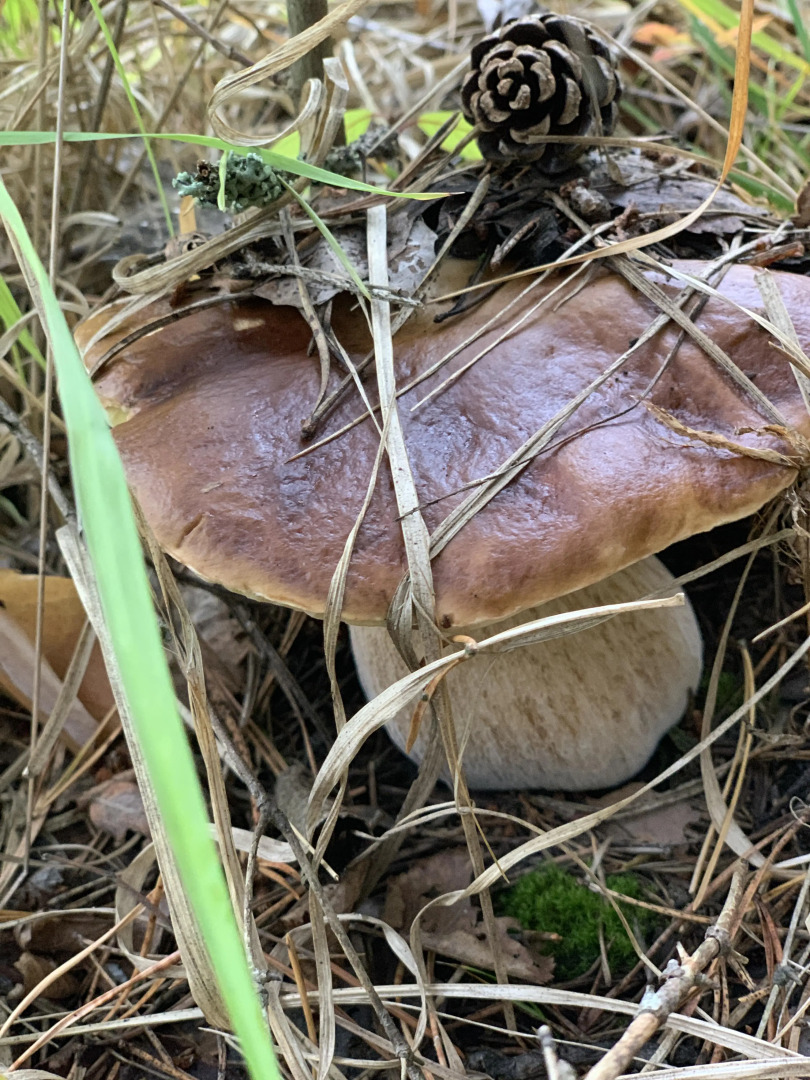 Частный дом На озере