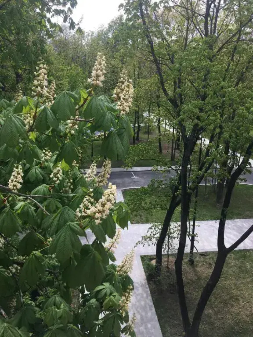 Апартаменты Причал 5