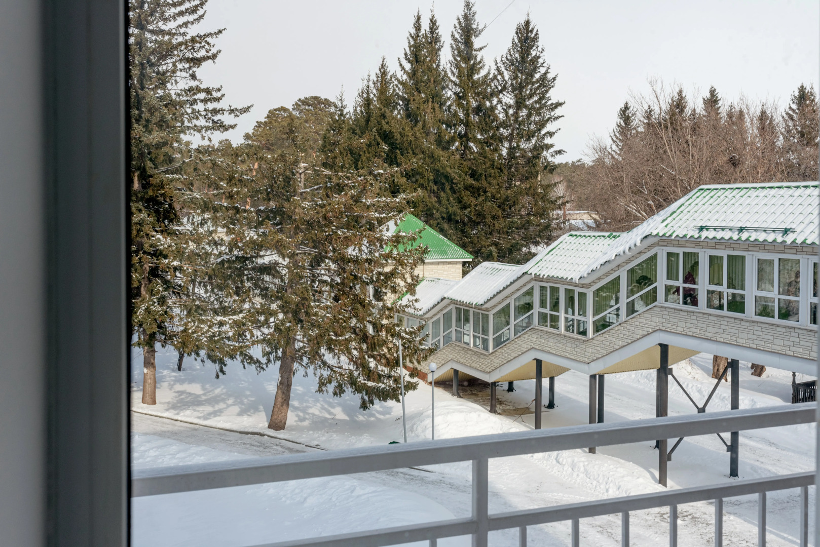 Sosnovyj Bor (Zudilovo)