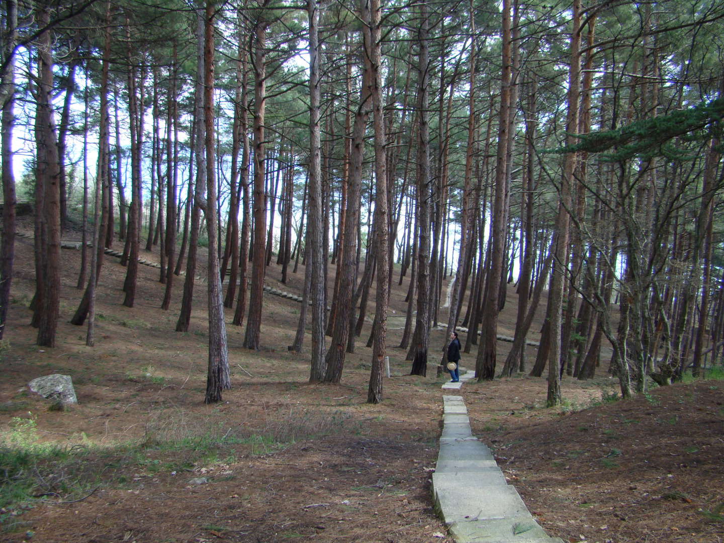 Санаторий Горный