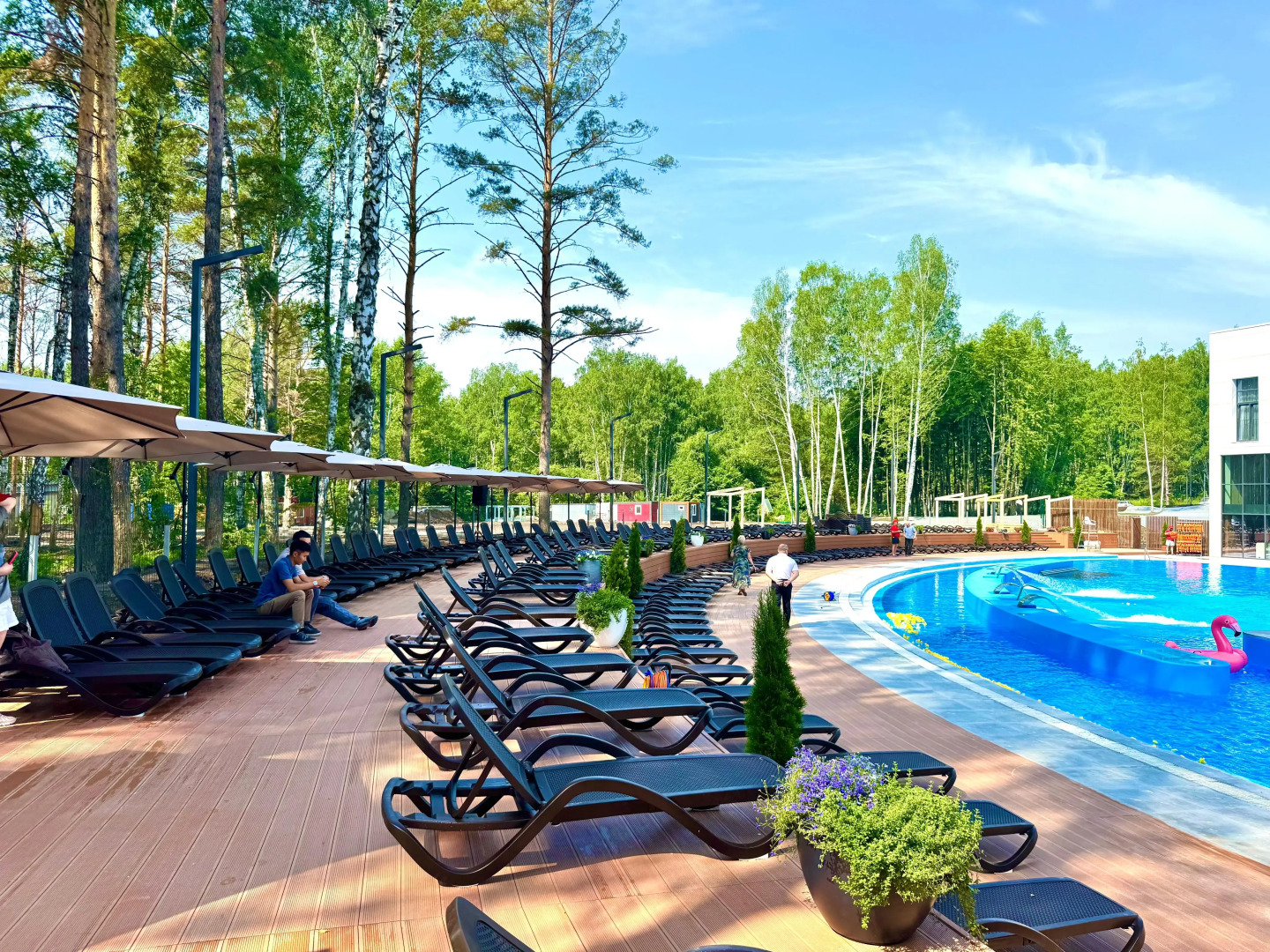 Парк-отель Хвоя