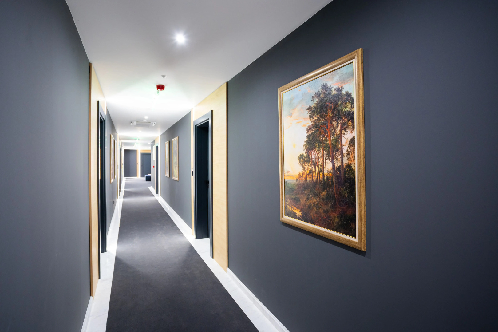 Hotel Blue Star Luxury Hotel 4*