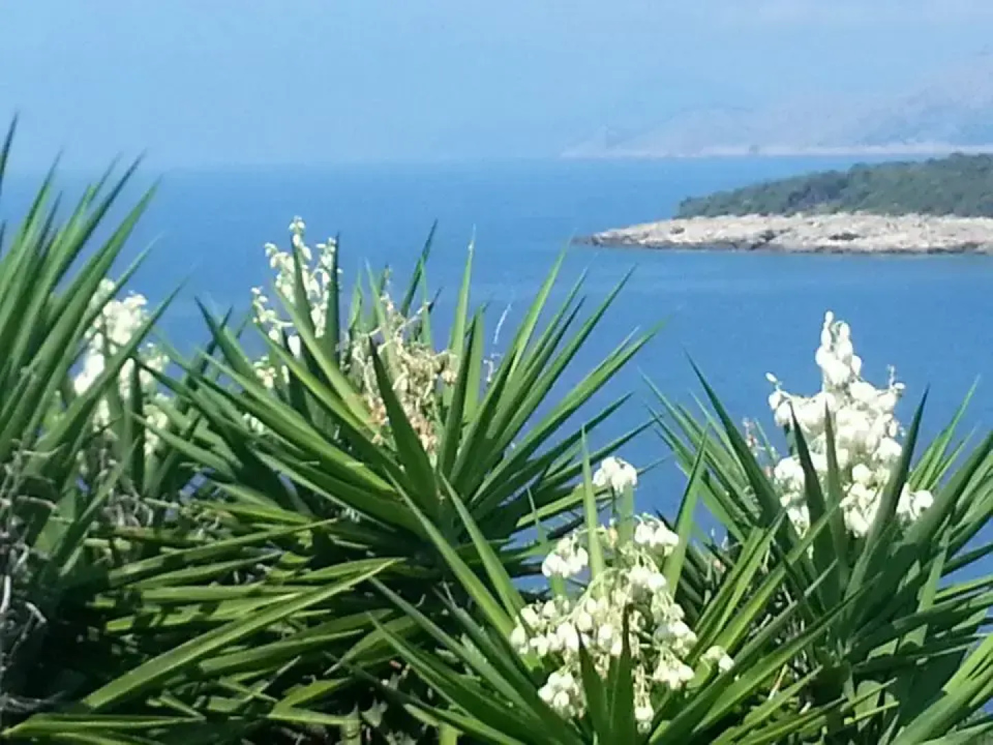 Гостевой Дом Carpe Diem