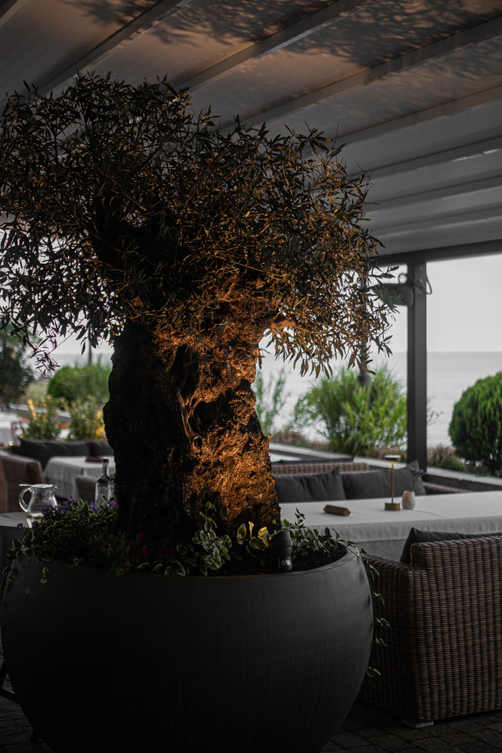 Отель Полет Чайки