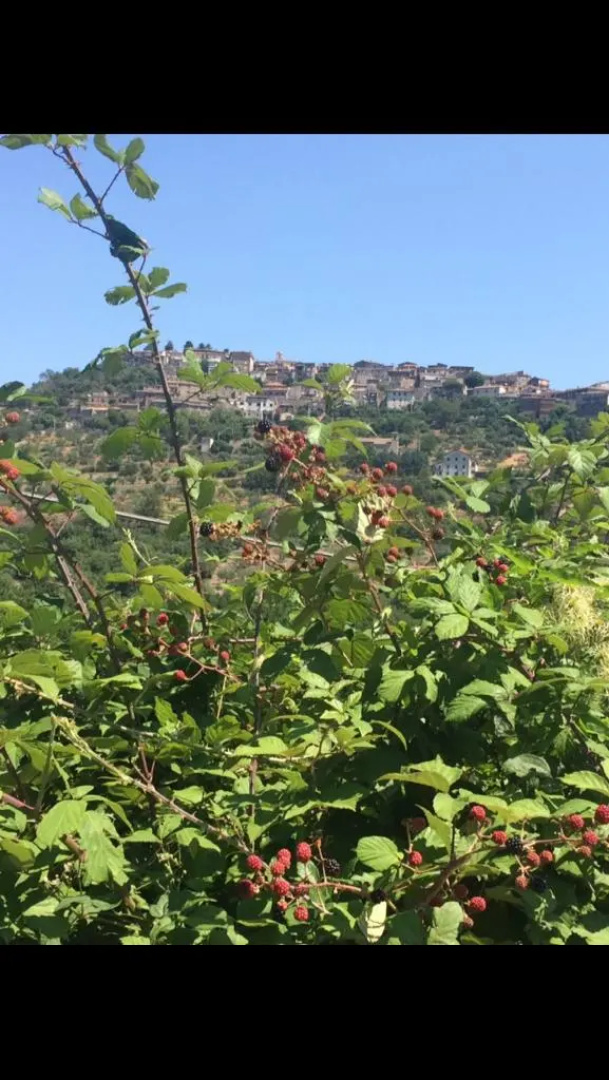 Valle Fiorita