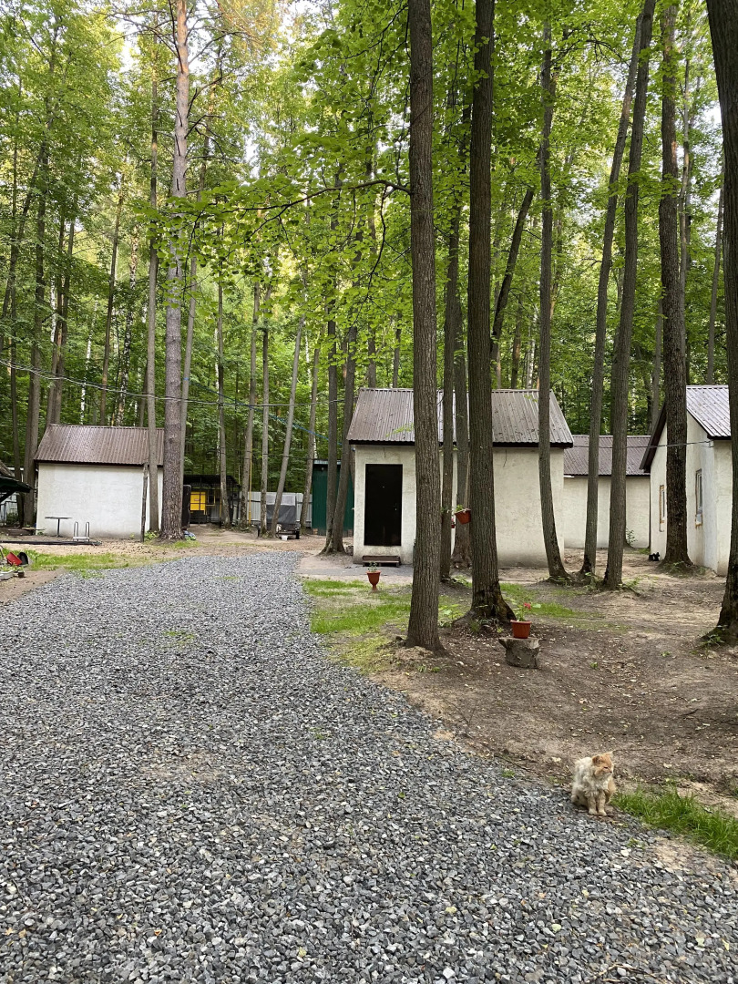 База отдыха Монте Карло