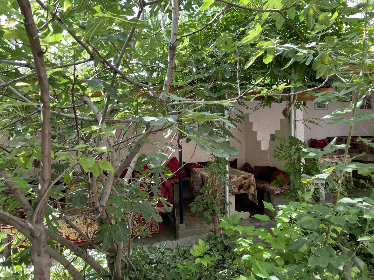 Меблированные комнаты Николь