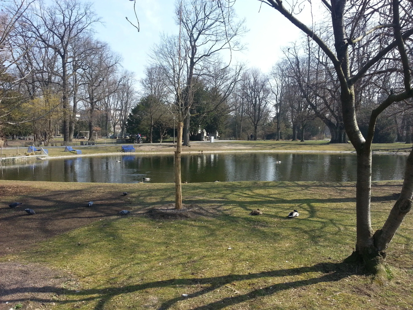 Апартаменты Luxus FeWo Soldic