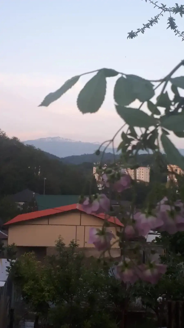 Гостевой Дом Тихий Уголок Адлера