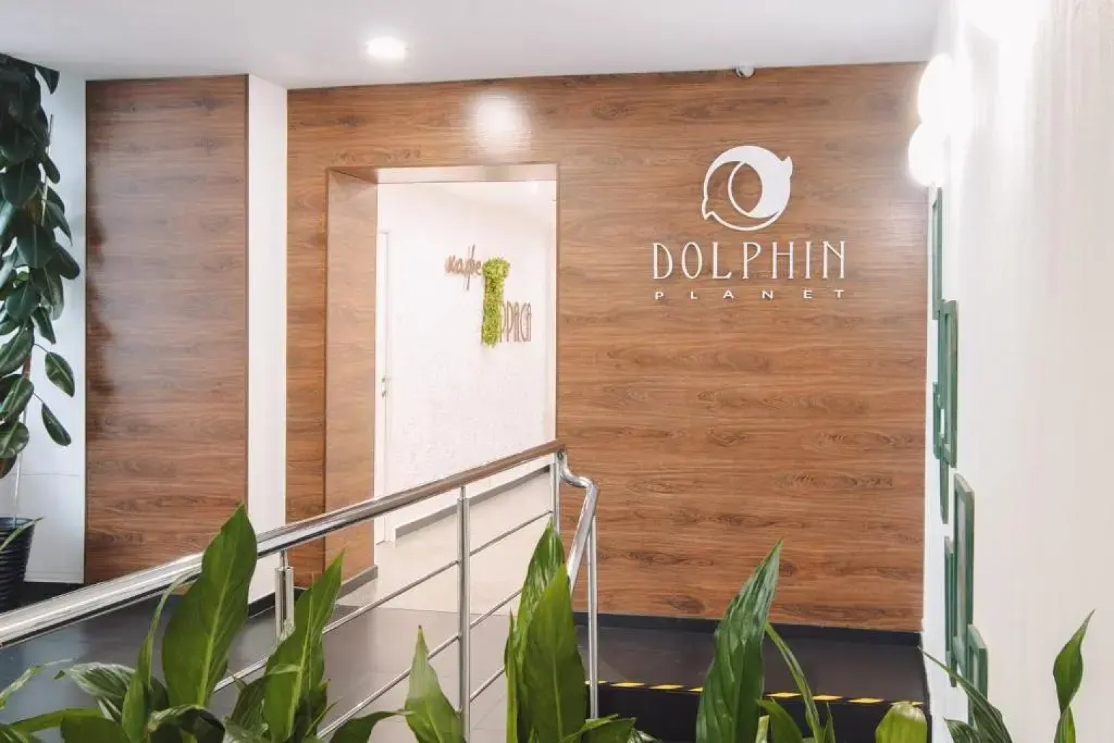 Гостиничный комплекс Dolphin Planet Hotel & SPA