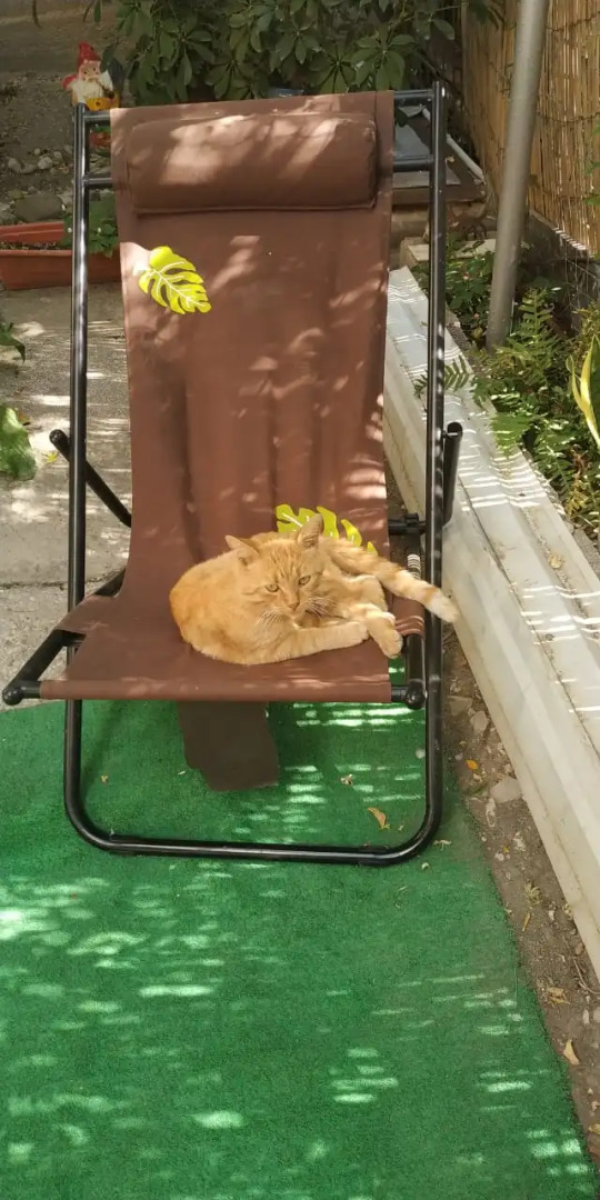 Гостевой дом на Халтурина 4