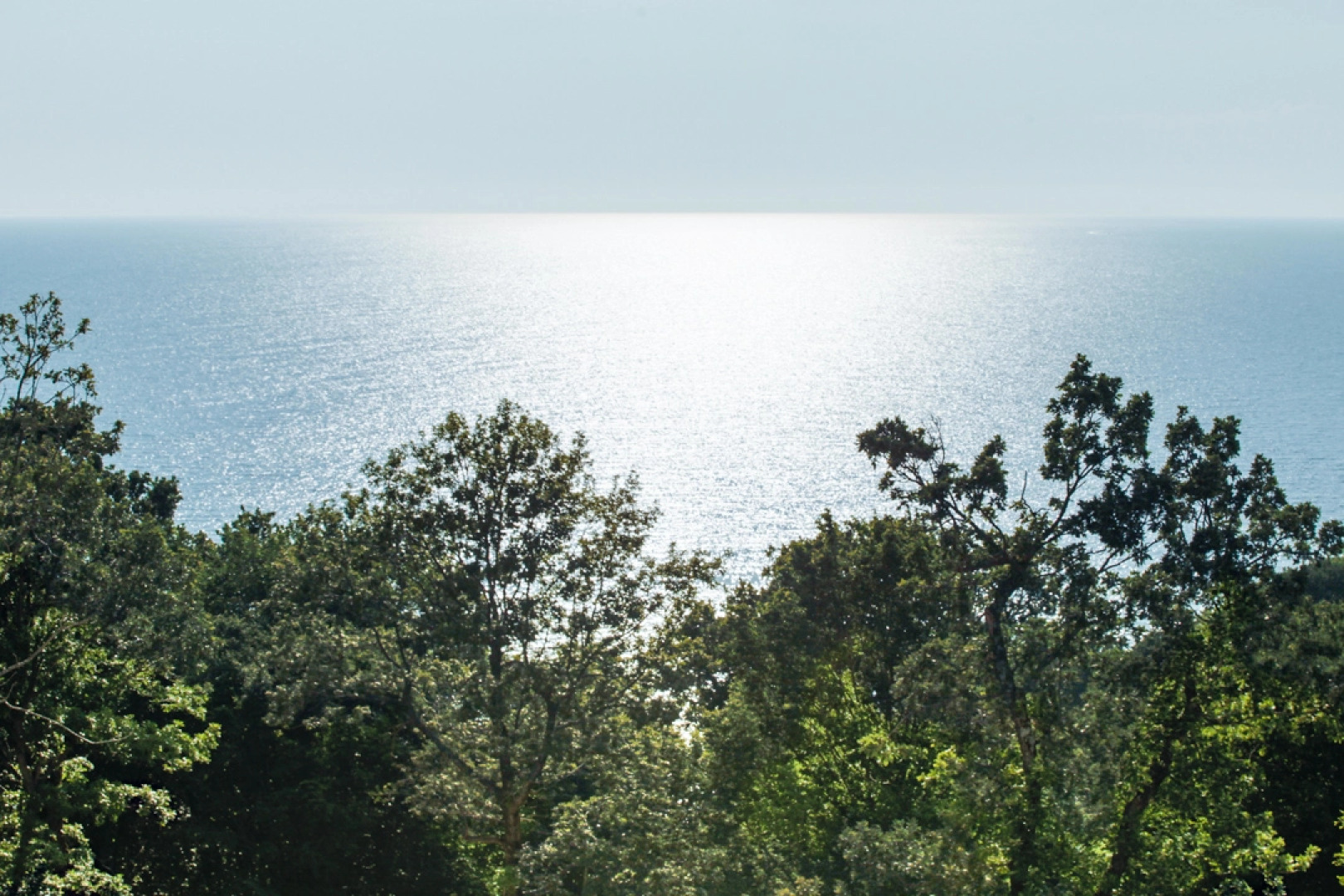 Отель Гостеев