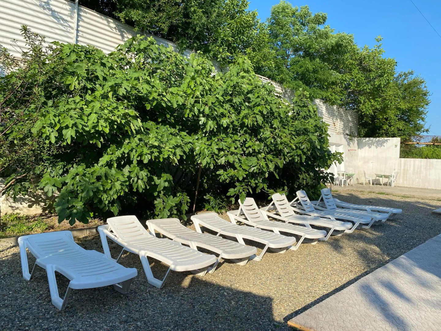 Гостевой дом Эллис