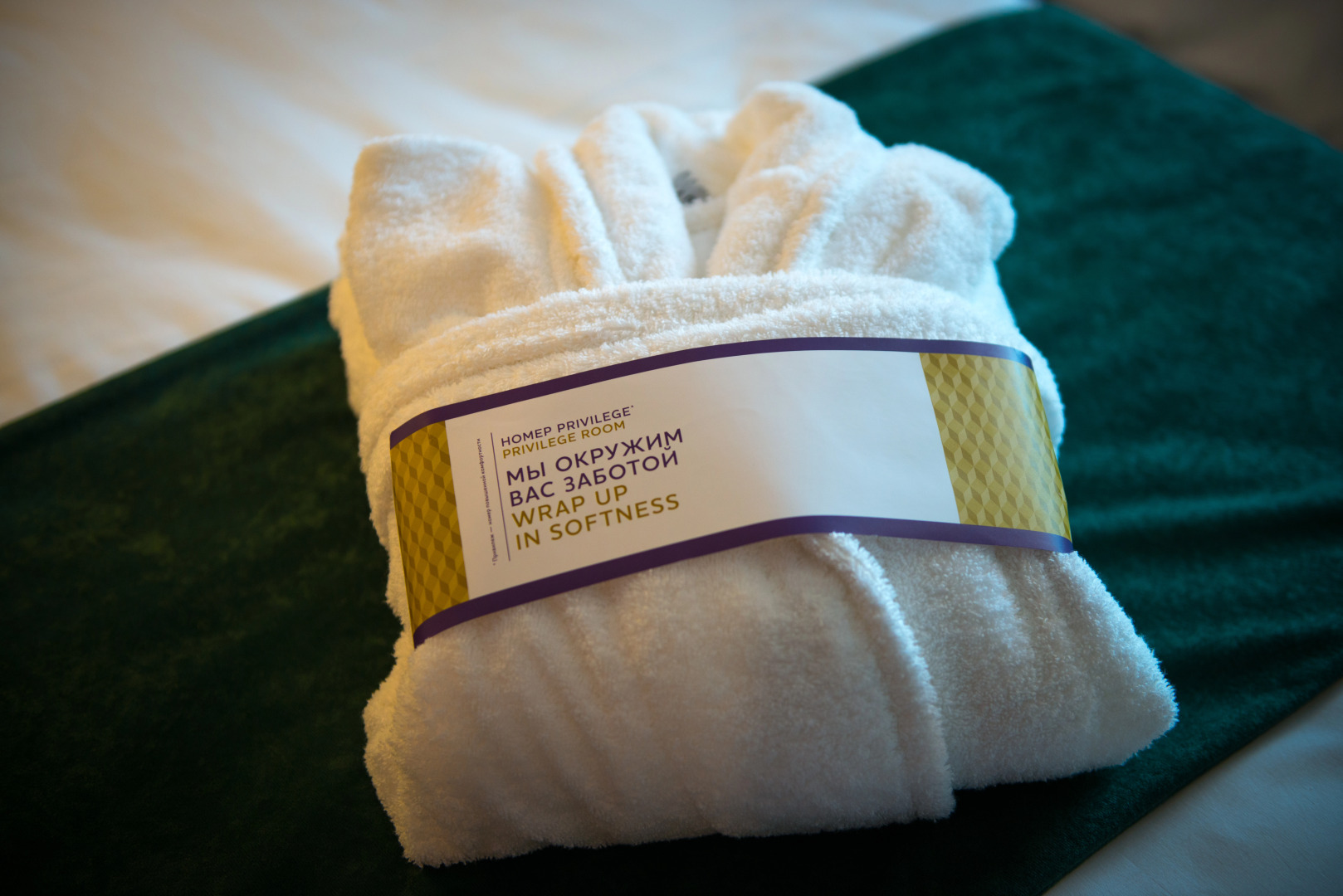 Отель Mercure Саранск Центр