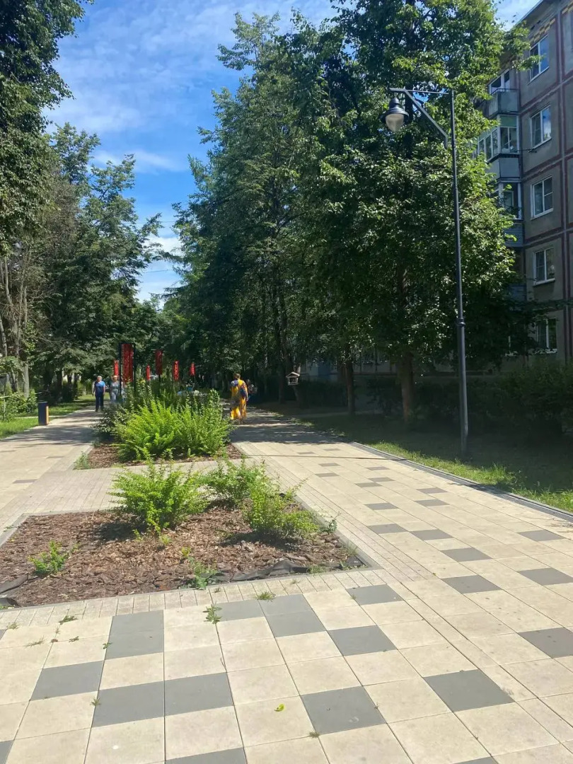 Квартира ЭЛИС