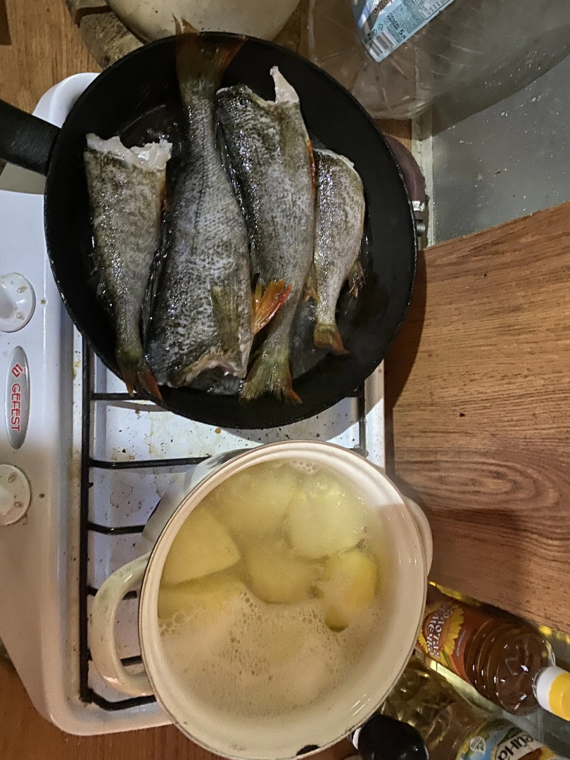 База Отдыха На Рыбалку