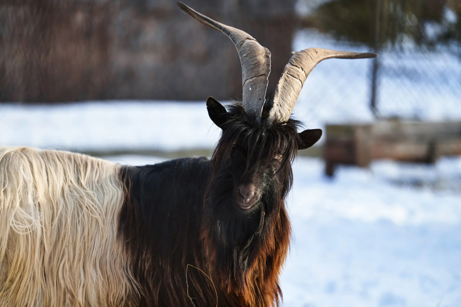 Отель Ель и Пихта