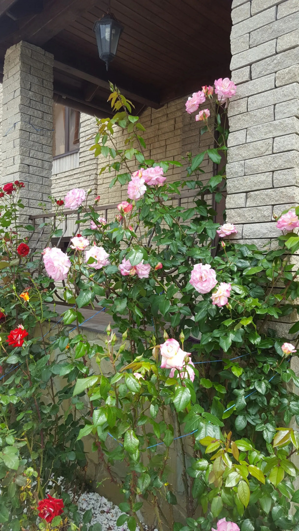 Гостевой дом Замок на Земляничной