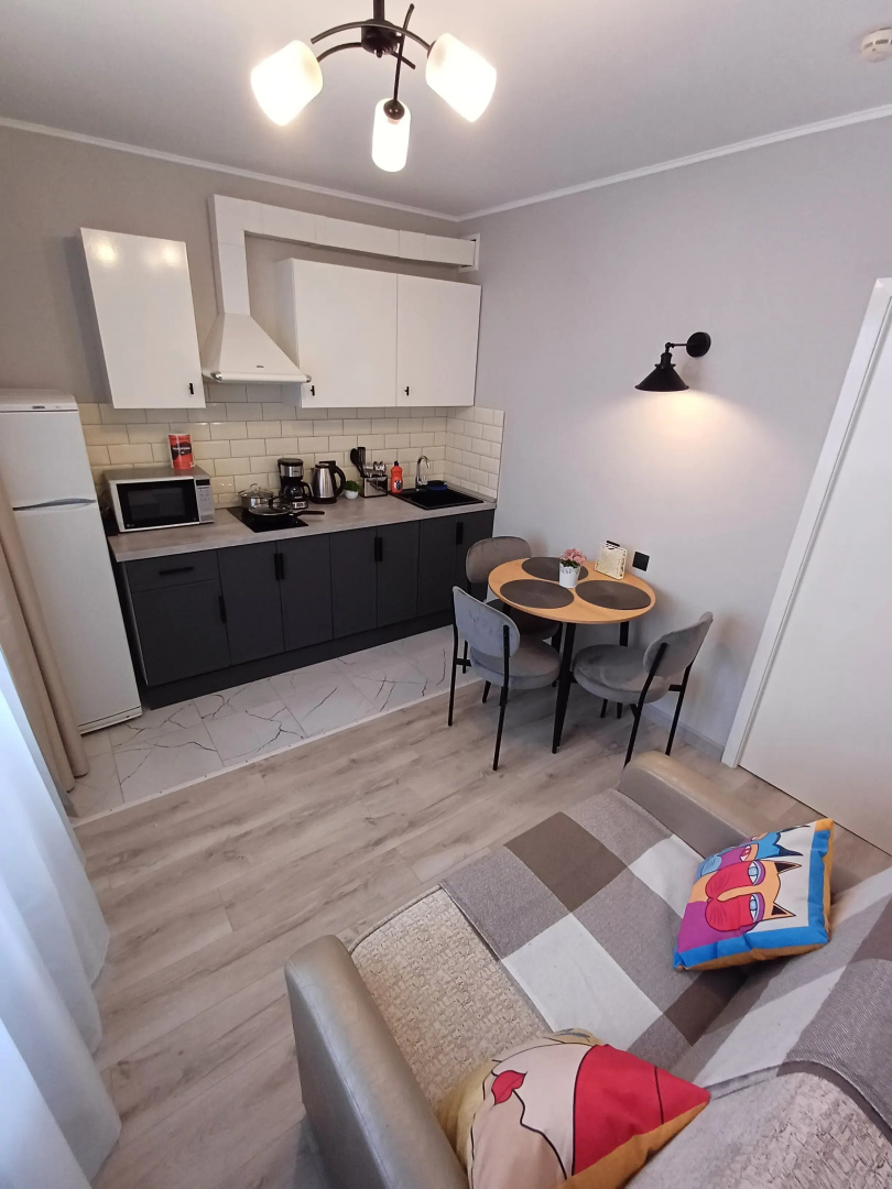 Апартаменты Чайка House на Карла Маркса 48