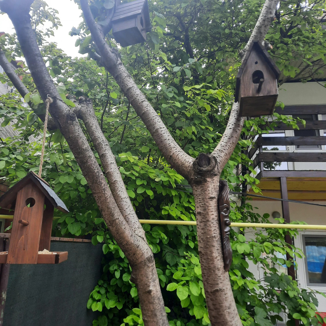 Гостевой дом на Горького