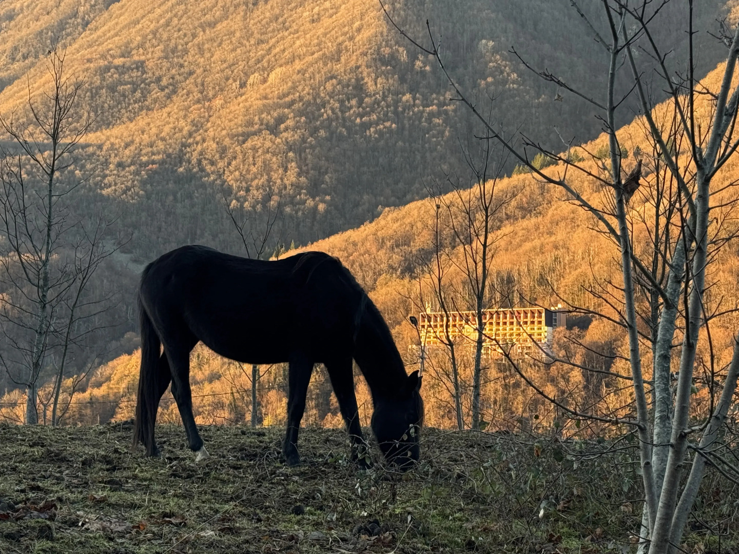 Апартаменты Панорама Парк Красная Поляна