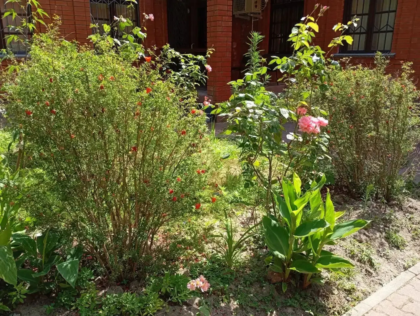 Отель Аквариум