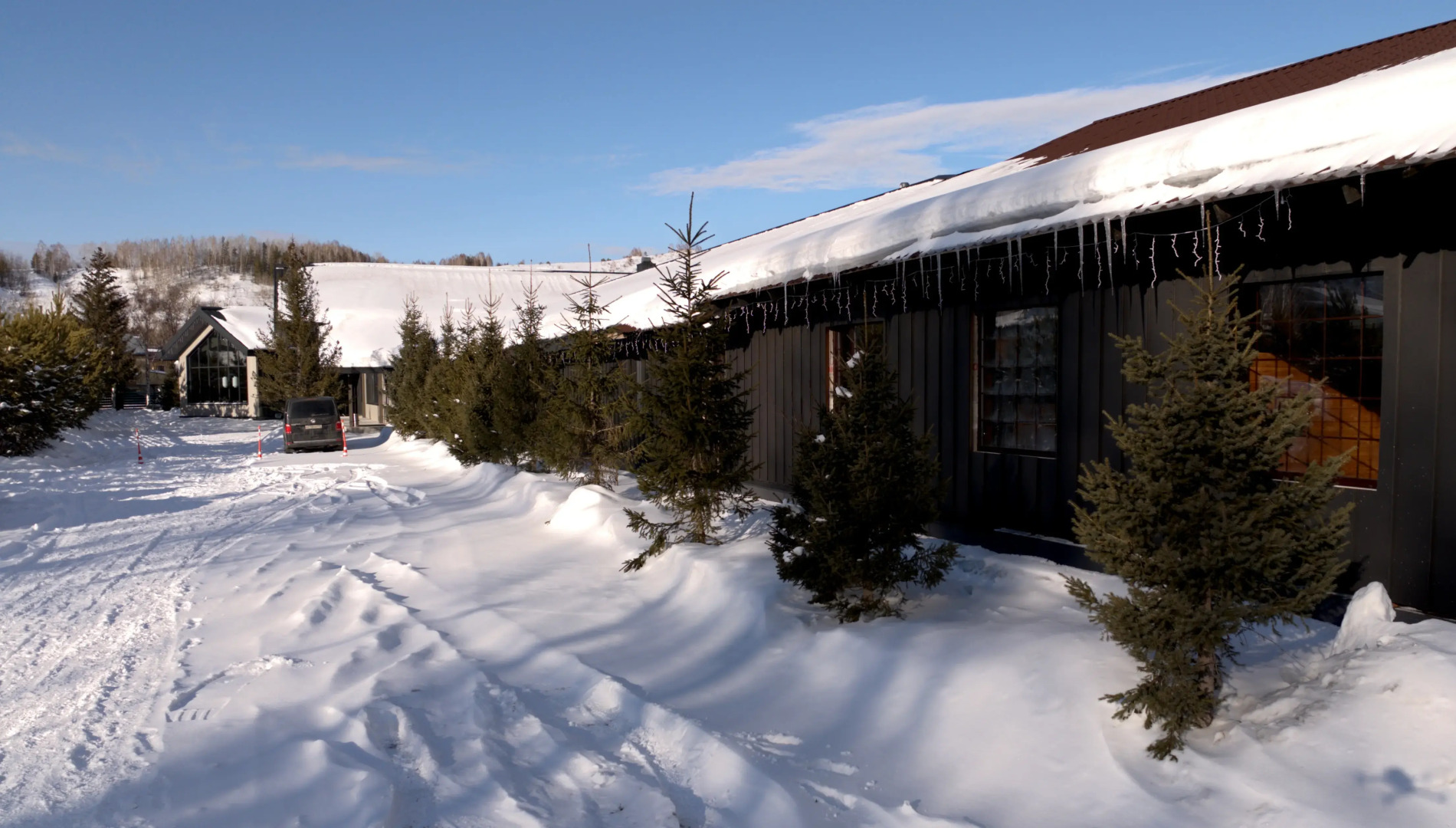 Шале Altai Mountains Resort