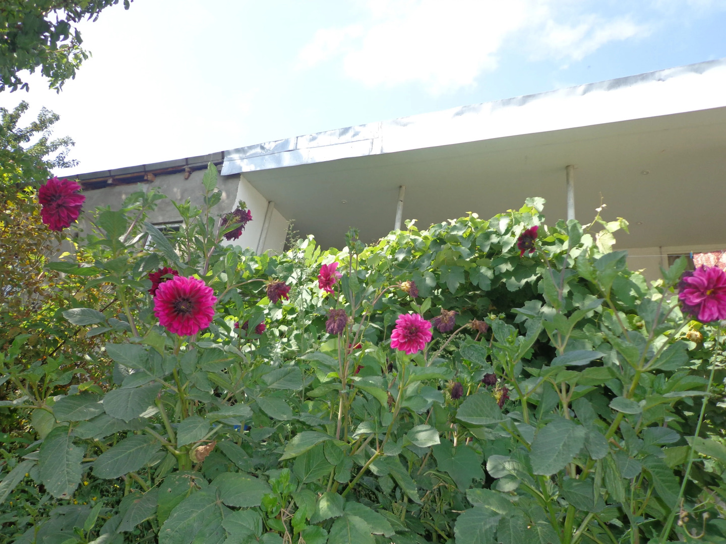 Гостевой Дом Anush`s B&B