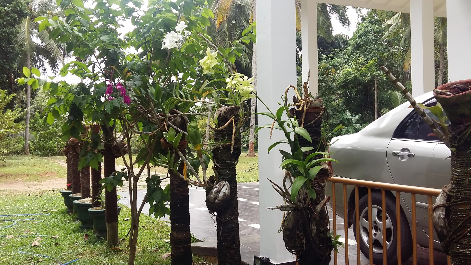 Гостевой Дом Wasaba Jayasekera