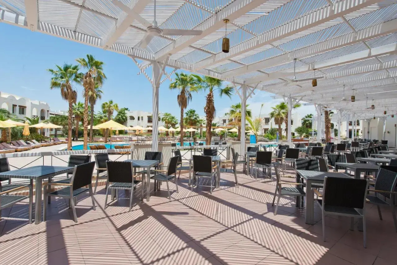 Amphoras Aqua Adults Friendly