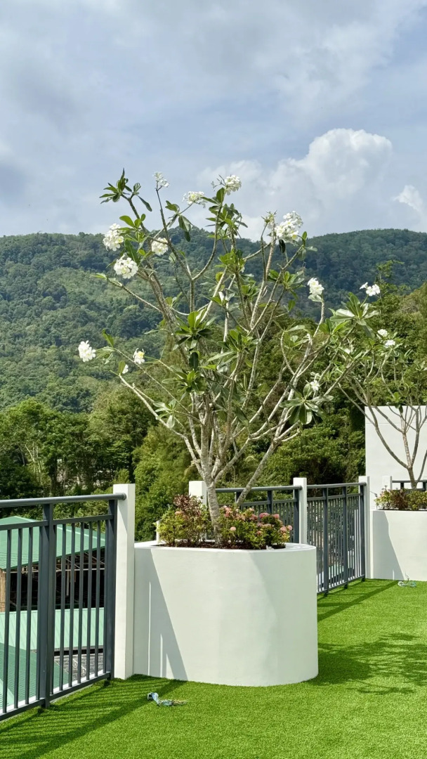 Квартира Милая с бассейном рядом с морем